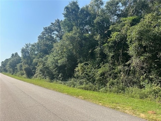 0 Danner Rd E Unit 7633426, Wilmer, AL 36587