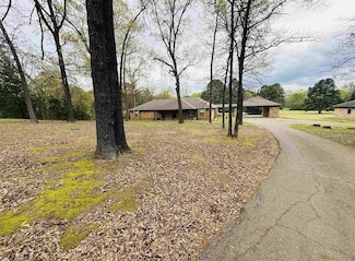 75 County Road 4325, Pittsburg, TX 75686