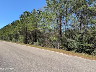 00 Conner Dr, Perkinston, MS 39573