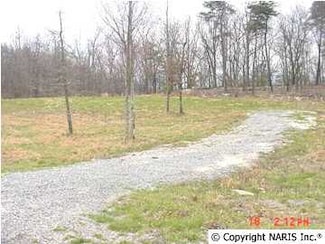 4200 Citadel Rock Rd, Fort Payne, AL 35967