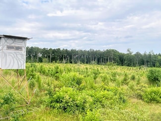 0 Highway 299 E, Prescott, AR 71857
