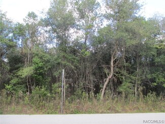 3357 E Gladys St, Inverness, FL 34453