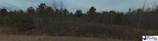 3621 Summertree Dr, Florence, SC 29506