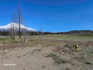 lot 113 Buffalo Rd, Weed, CA 96094