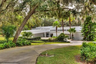 1316 Olympia Ave, Mount Dora, FL 32757