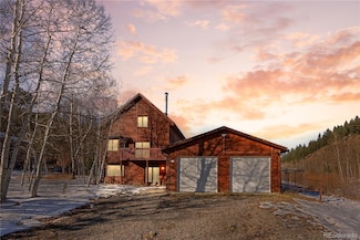 81 Silver Springs Rd, Bailey, CO 80421