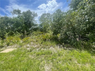 3487 Mentone St, Port Charlotte, FL 33980