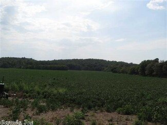 80 ACRES Old Winery Rd, Harrisburg, AR 72432