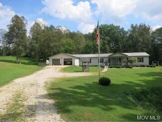 3089 Sanoma Rd, Palestine, WV 26160