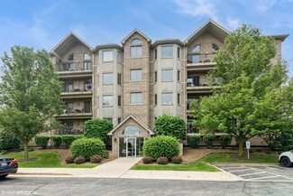 14130 Sheffield Dr Unit 102, Homer Glen, IL 60491