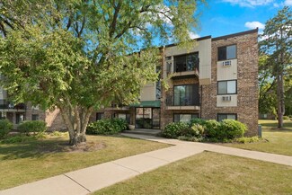 1475 N Winslowe Dr Unit 303, Palatine, IL 60074