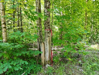 Lot 5 Moores Rd, Springfield, ME 04487