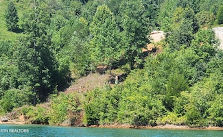 0 Cameron Loop Ln Unit 1311949, Lafollette, TN 37766