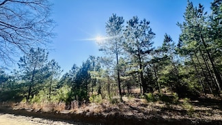 0 Loon Rd Unit 538798, Barnwell, SC 29812