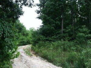 4683 S Dry Branch Rd, Bloomfield, IN 47424
