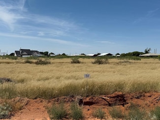 1620 Andrews St, Andrews, TX 79714