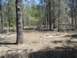 0 Cloudcap Dr Unit 19 & 20 220202399, Chiloquin, OR 97624