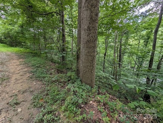 99999 Whispering Woods Path Unit 44, Mars Hill, NC 28754