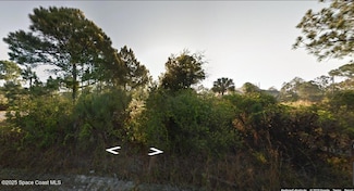 2801 Lakeland Ave SW, Palm Bay, FL 32908