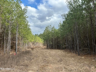 0 St Johns Rd Unit 4102890, Braxton, MS 39044