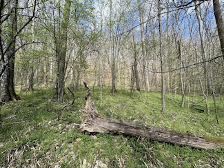 0 Lakeview Dr Unit 235517, Smithville, TN 37166