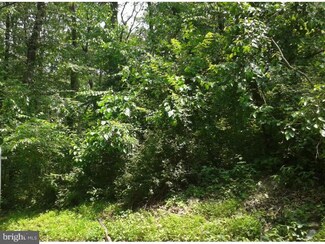 0 Stone Hill Rd Unit 1003499360, Shoemakersville, PA 19555