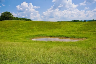 Tract 2 Barlow Rd Unit LotWP002, Spencer, TN 38585