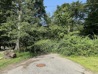 11 Bucknell Way, Hopatcong, NJ 07843