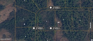 52244 N Trail, Talkeetna, AK 99676