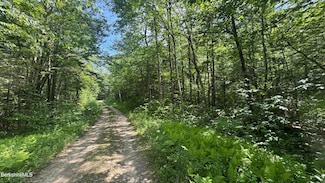 Lot 275 Oberdorf Rd, Stamford, VT 05350