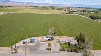1410 19 Rd, Fruita, CO 81521