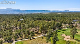14981 Quartz Creek Dr, Black Forest, CO 80908