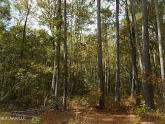 0 Bill Banks St, Brandon, MS 39042