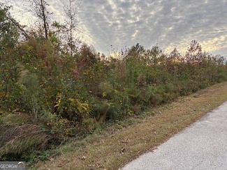 235 Kendall Dr, Griffin, GA 30224