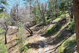 0 Yukon Unit IG25089192, Lake Arrowhead, CA 92352
