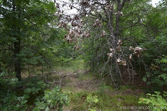 4 Darcy Dr, Vian, OK 74962