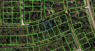 3238 Dean Ave, Lake Placid, FL 33852