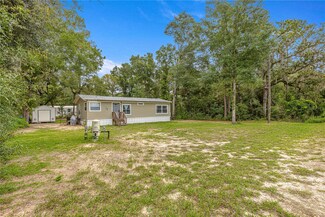 20 NE 156 Ct, Williston, FL 32696