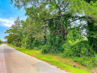 365 E Courtland St, Vidor, TX 77662