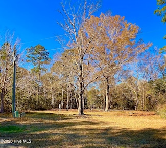 1563 Egret Dr SW, Supply, NC 28462