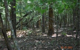 LT 1422 Mallory Cir, Ellijay, GA 30540