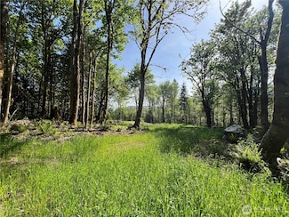3 XXX Leland Valley Rd W, Quilcene, WA 98376