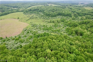 44312 Cream Ridge Rd, Lisbon, OH 44432