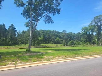 84- Lot 12 Golden Oaks Cir, Dothan, AL 36301