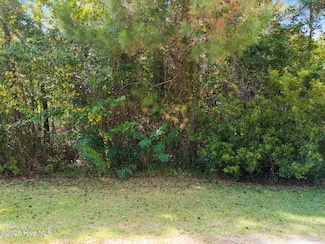 2445 Driftwood Acres Dr SW, Supply, NC 28462