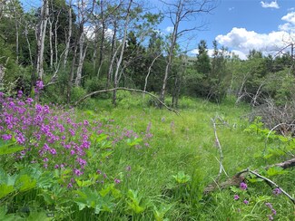 TBD Block 177 Lots 5-8, Virginia City, MT 59755