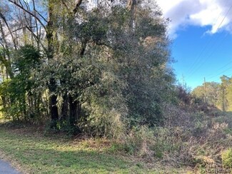 6079 E Waverly St, Inverness Highlands South, FL 34452