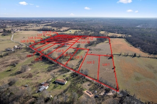 TBD LOT 10 County Road 1609, Alba, TX 75410
