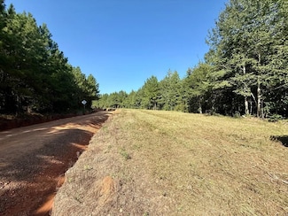 0 Holt Rd, Elko, GA 31025