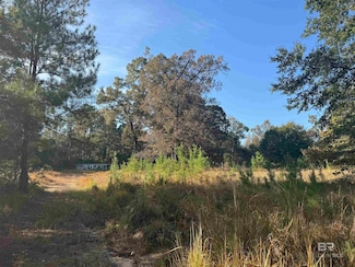 16600 Stacey Rd, Bay Minette, AL 36507